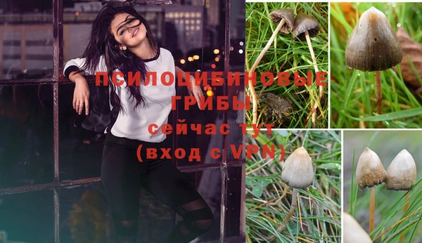 мяу мяу кристалл Яровое