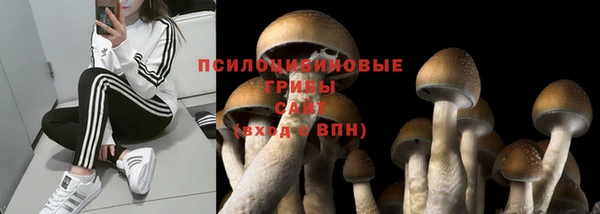 ГАЛЛЮЦИНОГЕННЫЕ ГРИБЫ Остров