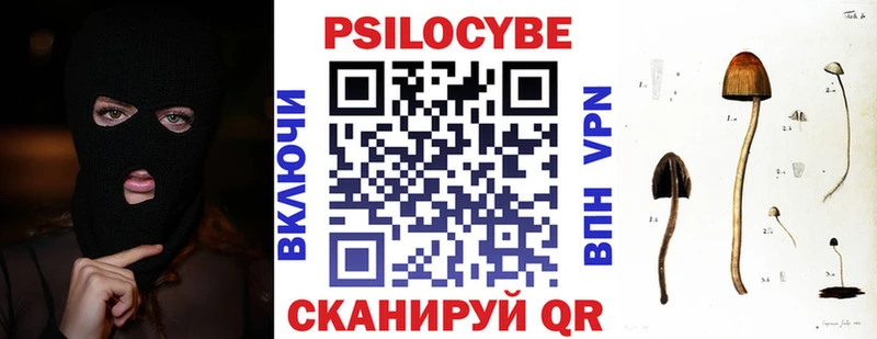 Псилоцибиновые грибы ЛСД  Казань 