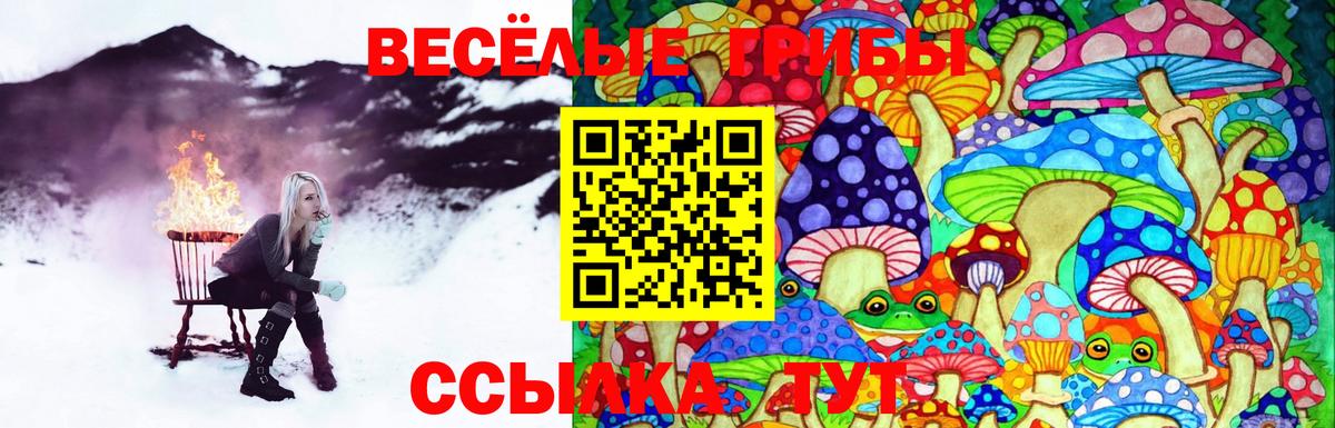 Казань  Псилоцибиновые грибы Cubensis  Вход с VPN 